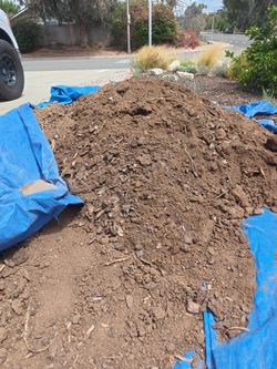 Great top soil