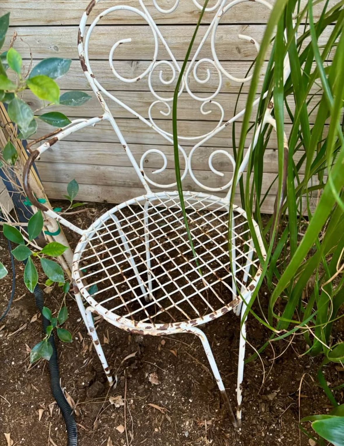 Vintage White Shabby Iron Chair – Shabby Chic Lovers’ Dream!