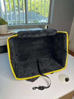 Pet car seat
