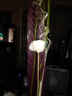 FLOWERS IN GLASS VASE BEAUTIFUL NEW