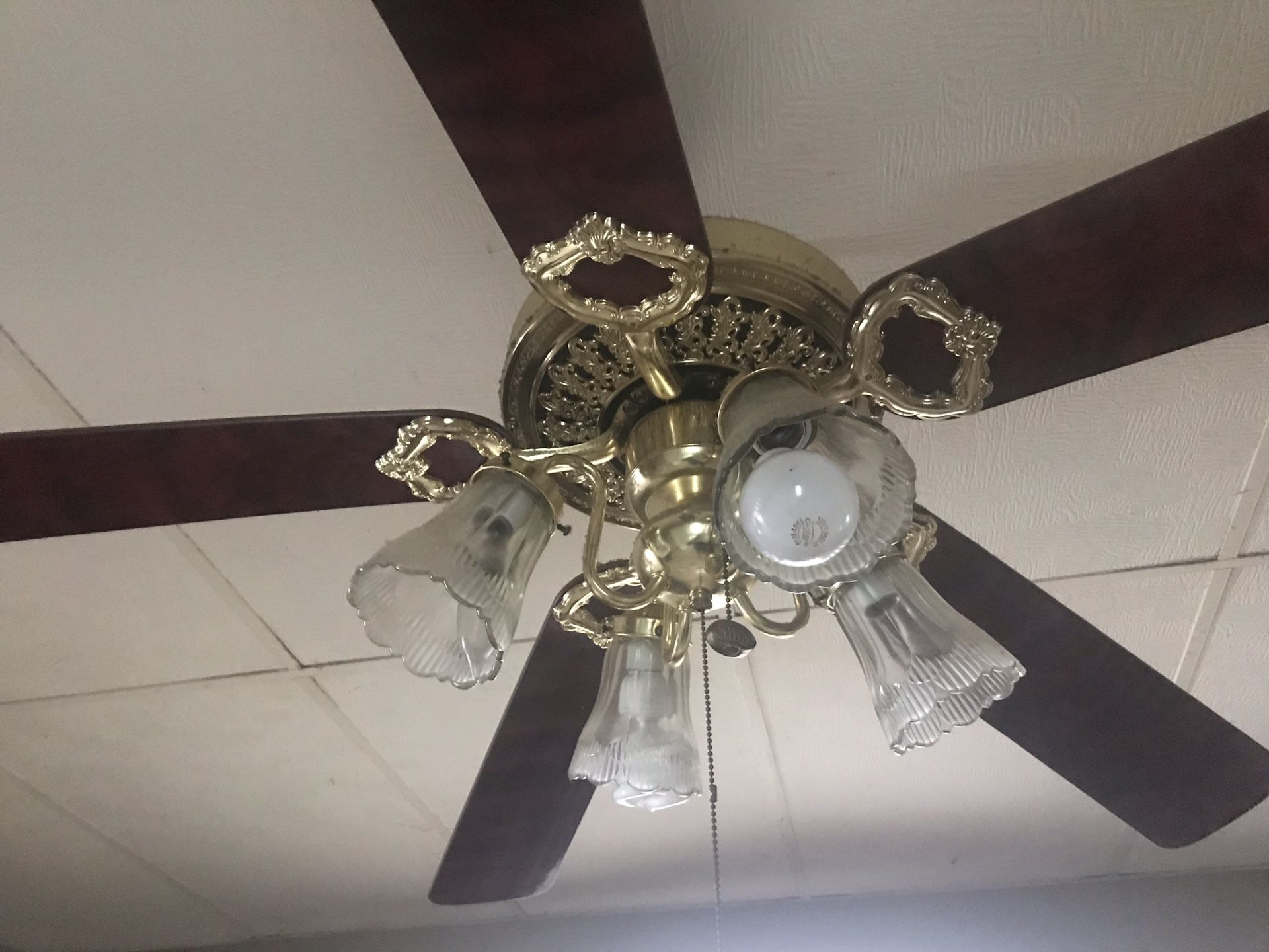 Wooden Oak 5-Blade Ceiling Fan w/ Working Lights