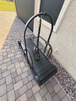 Dog treadmill