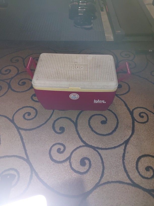Igloo Cooler 