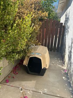 Dog House.