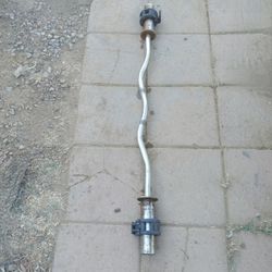 Olympic Curl Bar