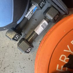 5 Pound Weights Dumbbells 