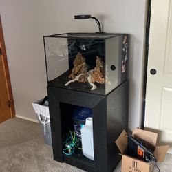 Fish Tank