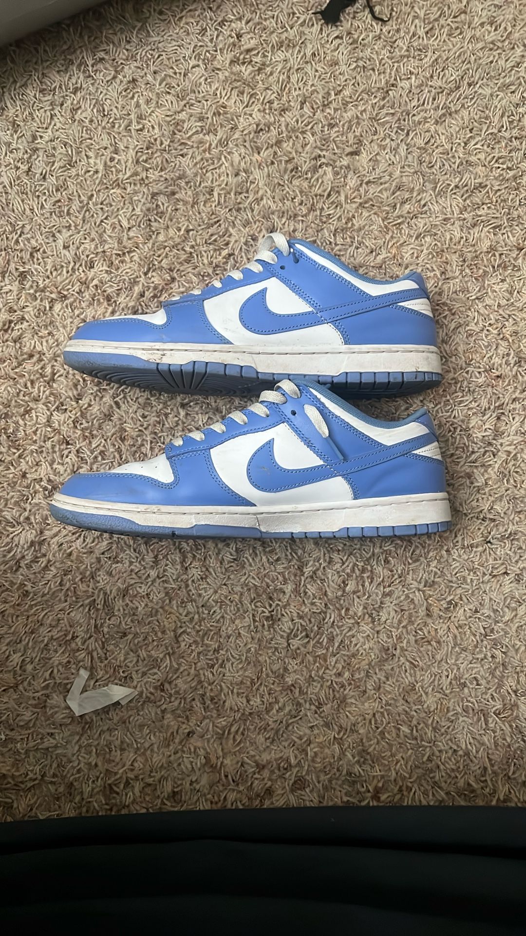 Nike polar blue dunks