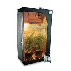 Grow Tent 