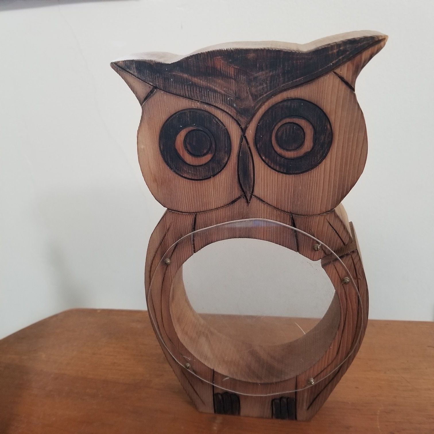 Wooden Owl Coin Bank