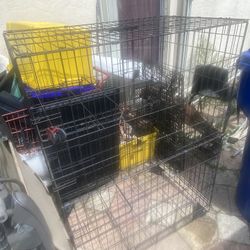 Dog Cages