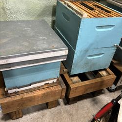  Bee Hives Plus Tools 