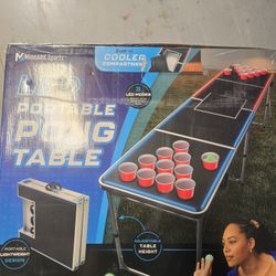 Portable Pong Table