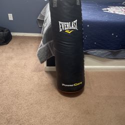 80pound Ever last Power Core Sand Bag 