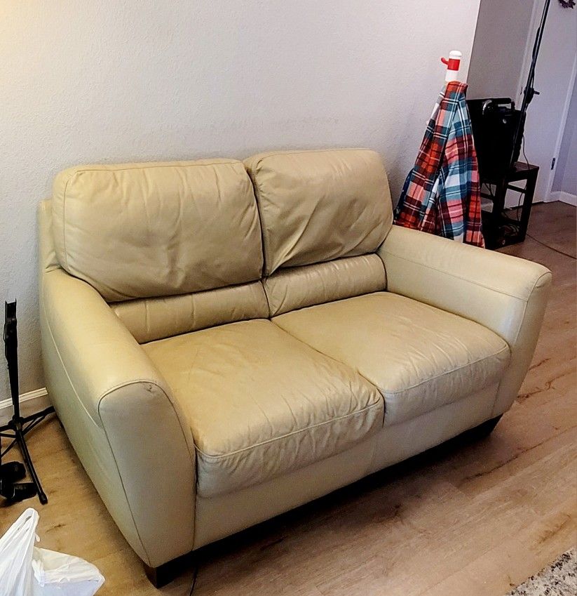 Genuine Leather Loveseat Sofa 