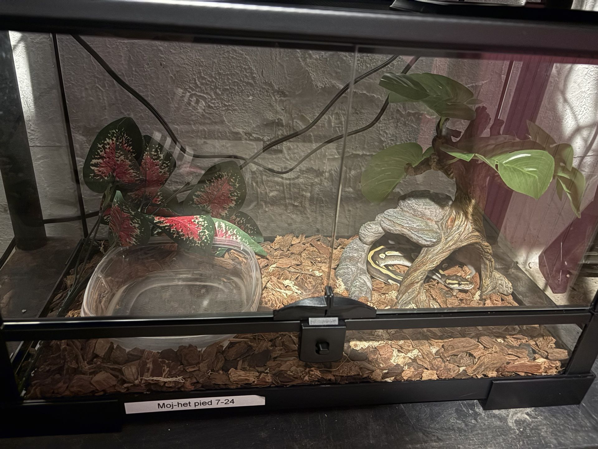 Open Front Tank