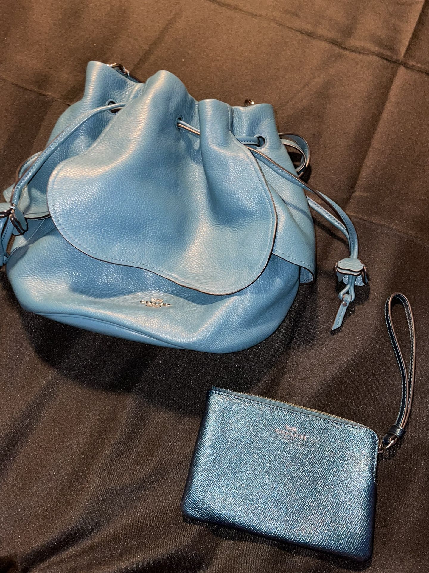 Coach Flower Petal Purse And Wristlet