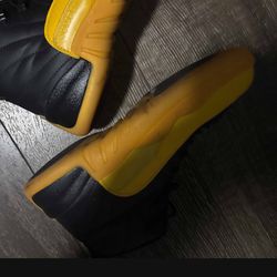 Jordan 12 