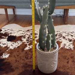 Artificial Cactus