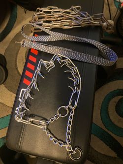 Dog essentials