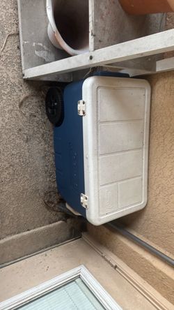 Coleman Cooler large