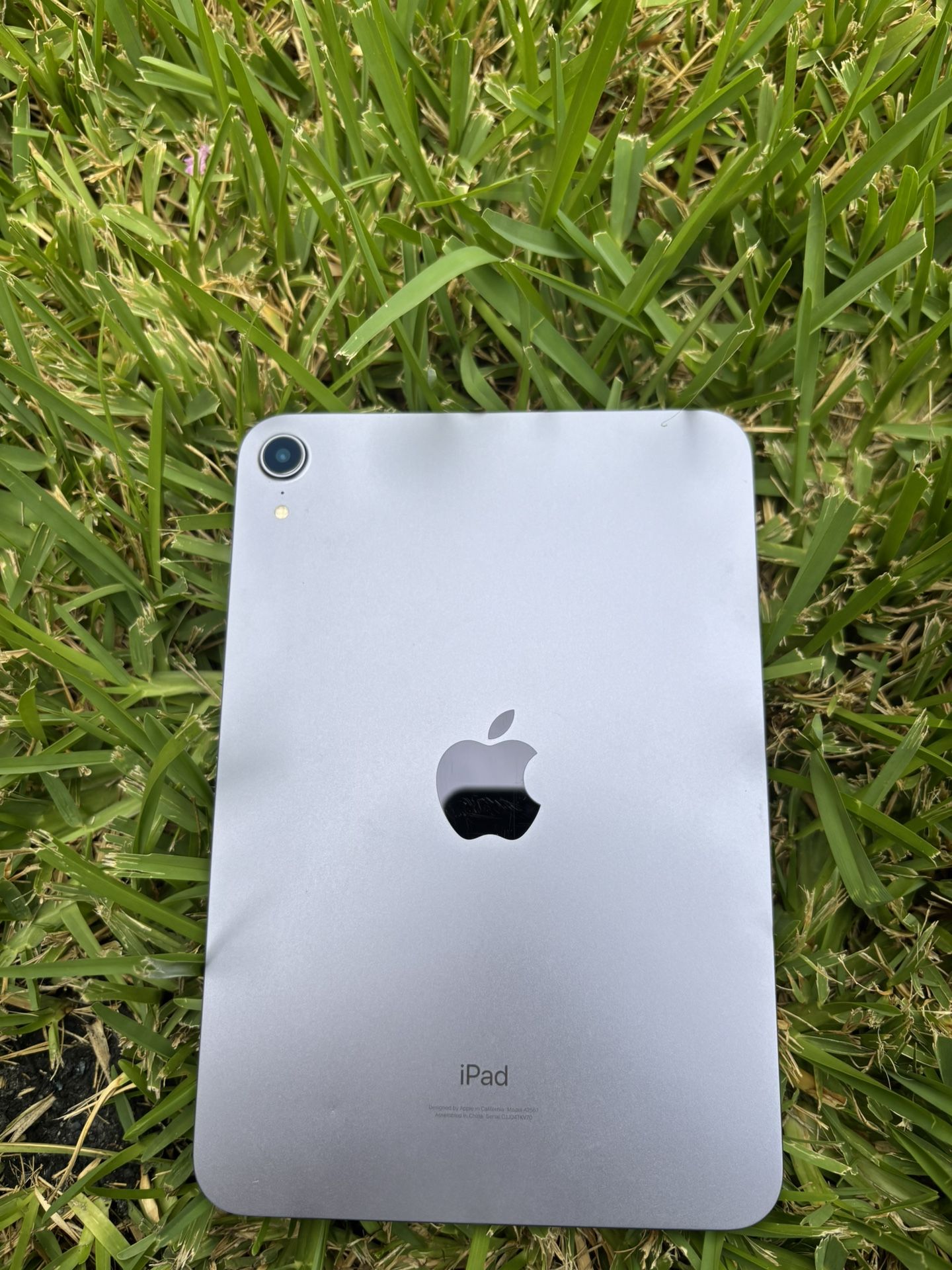 Ipad mini Purple