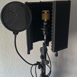 Micrófono Neewer NW-800