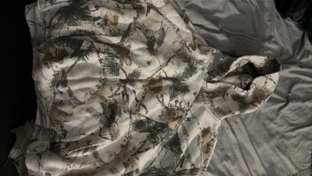 Hollester cameo Hoodie