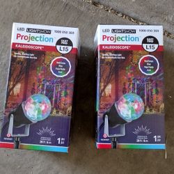 Led Christmas Light. Each For $7