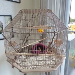 Brand New Modern Bird Cage