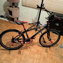 2017 Freeagent Ambush 24 Fully Customized Race/cruiser  24 Inch Bmx