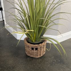 Fake plant