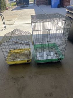 Bird Cage For Sale
