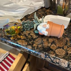 Bath & body Works Plug-ins 