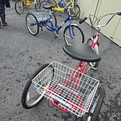 Sun 7 Speed Adult Trikes 
