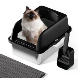 Litter Box