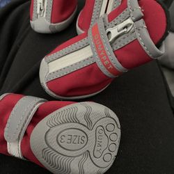 Dog Shoes