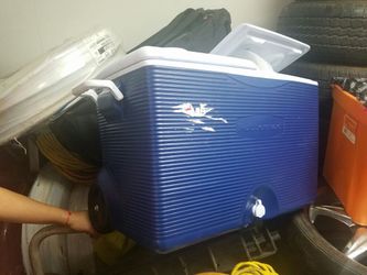 Cooler