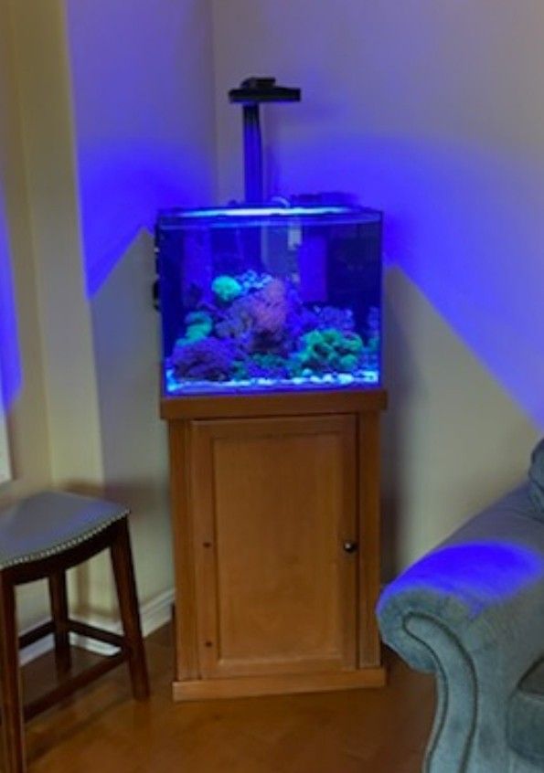 40 Gallon Reef Aquarium