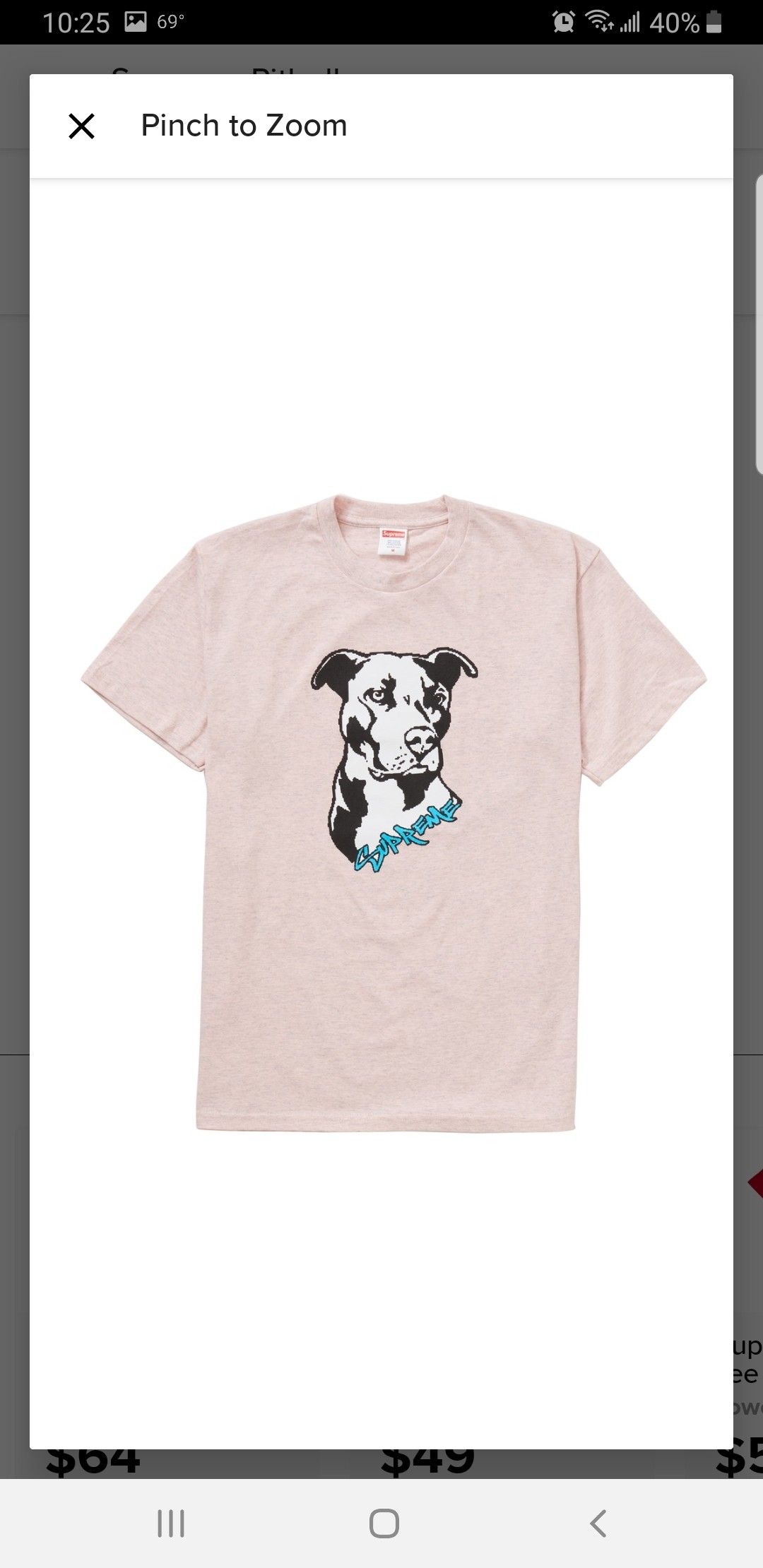 Supreme pitbull