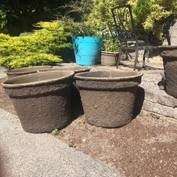 Peat Pots For Trees, Shrubs Or Plants