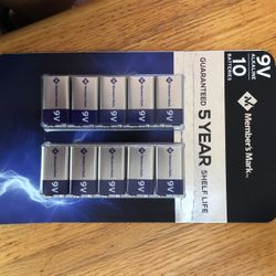 9v alkaline