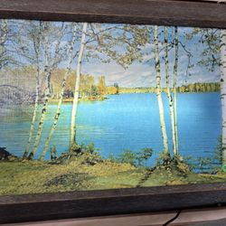 Very nice vintage lighted picture pick up N. 76th St. or $20 delivery Milwaukee