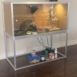 Bearded Dragon Set Up And Supplies