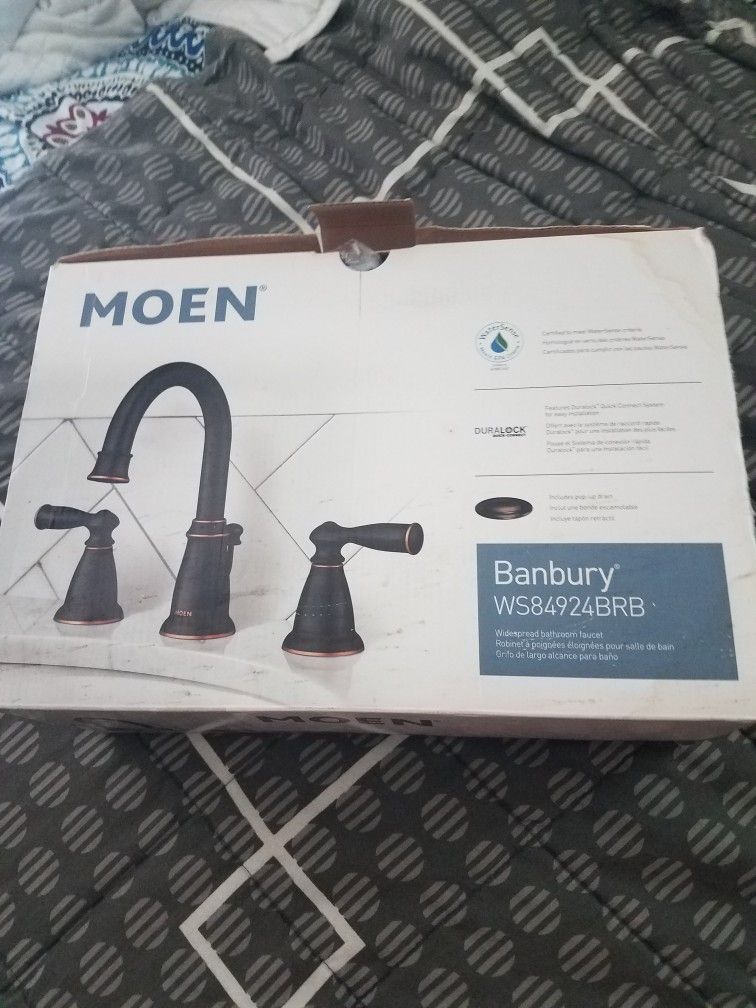 Moen Faucet