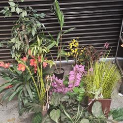 Mix Flower Arrangement 