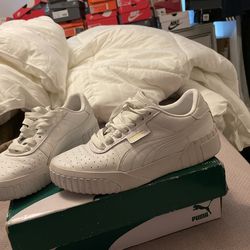 Puma