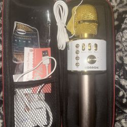 Karaoke Microphone 