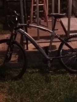Canyon  Adult Bike