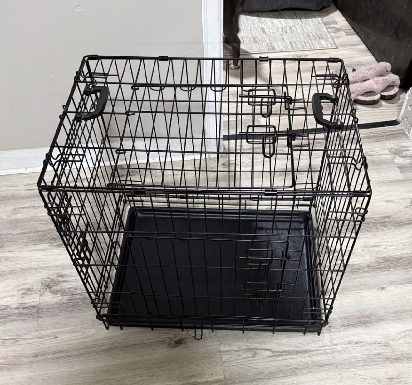 Dog Cage